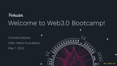 W3F CMO 讲述 Web3 基金会团队及 Polkadot 生态现状 