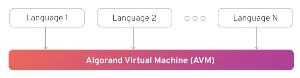 Algorand 将更新虚拟机：支持复杂合约逻辑和更多开发语言