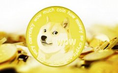 风险投资公司NIN Ventures为狗狗币敞开