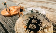 美国国家标准技术研究所：自私挖矿策略如何影响比特币等减半币 
