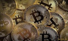 机构投资者一季度大举加持！灰度资本及Square总计买入52%新挖比特币