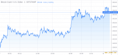 比特币现金价格上涨至260美元：下一步是什么？