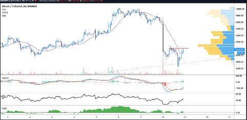 BTC减半前1天，其价格在关键趋势线支撑位反弹