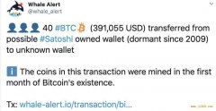 十年未动的远古地址并非中本聪的？他的挖矿行为有这些特点 