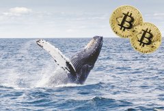 比特币鲸鱼全力购入价值1.08亿美金的比特币，S&