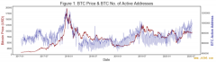 比特币活跃地址、地址分布及其波动率分析