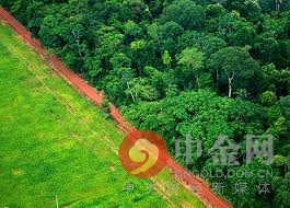 巴西肉类加工公司将利用区块链技术减少森林砍伐