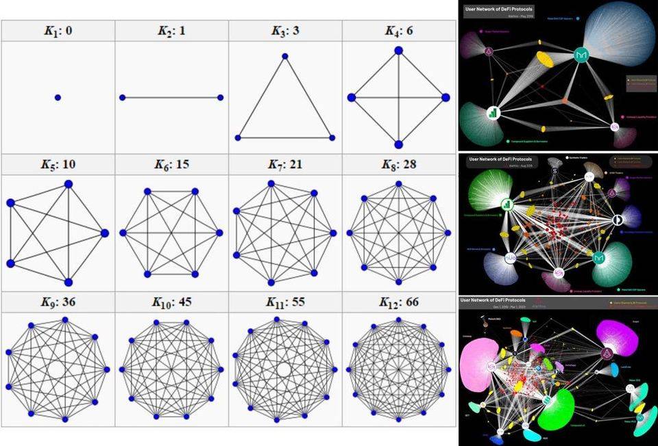 用生物学视角解读以太坊价值：信任之树与 DeFi 之叶