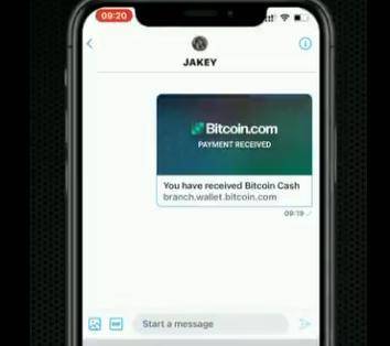 简析热门区块链支付项目:LTC、BCH 与 USDC 等