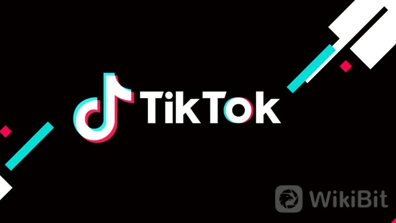 tik-tok-foto-screenshot-website-1.jpg