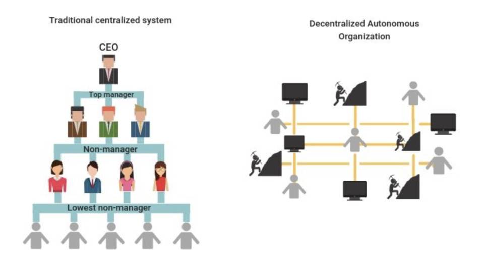 Hasu 采访 Paradigm 的学习笔记：钻进加密世界的兔子洞，越深越好