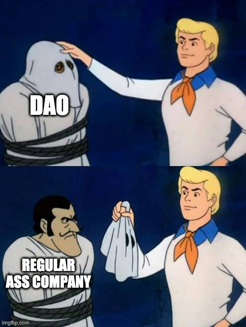 加密世界的下个夏季属于谁?也许是 DAO