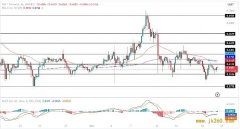  XRP 价格失去动力 今年瑞波币价格还